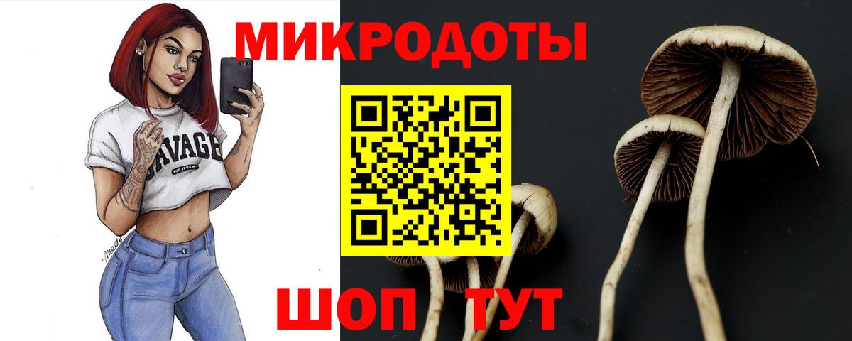 сколько стоит  Вход с VPN  Вышний Волочёк  Псилоцибиновые грибы GOLDEN TEACHER 
